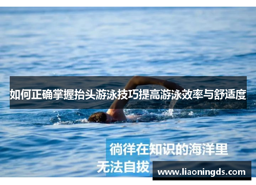 如何正确掌握抬头游泳技巧提高游泳效率与舒适度