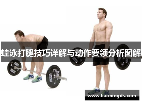 蛙泳打腿技巧详解与动作要领分析图解